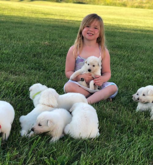 Tinsley with 8 puppies 6.14.21