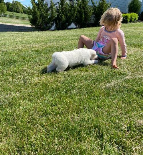 emma and pup litter one